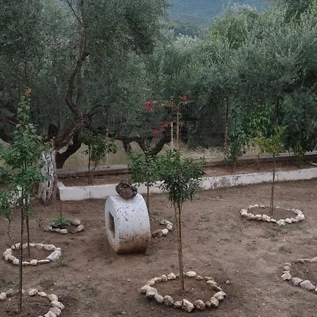 Дом отдыха Afrodite's House